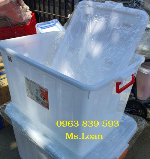 thung-nhua-da-nang-co-nap-va-banh-xe-day-120L.jpg